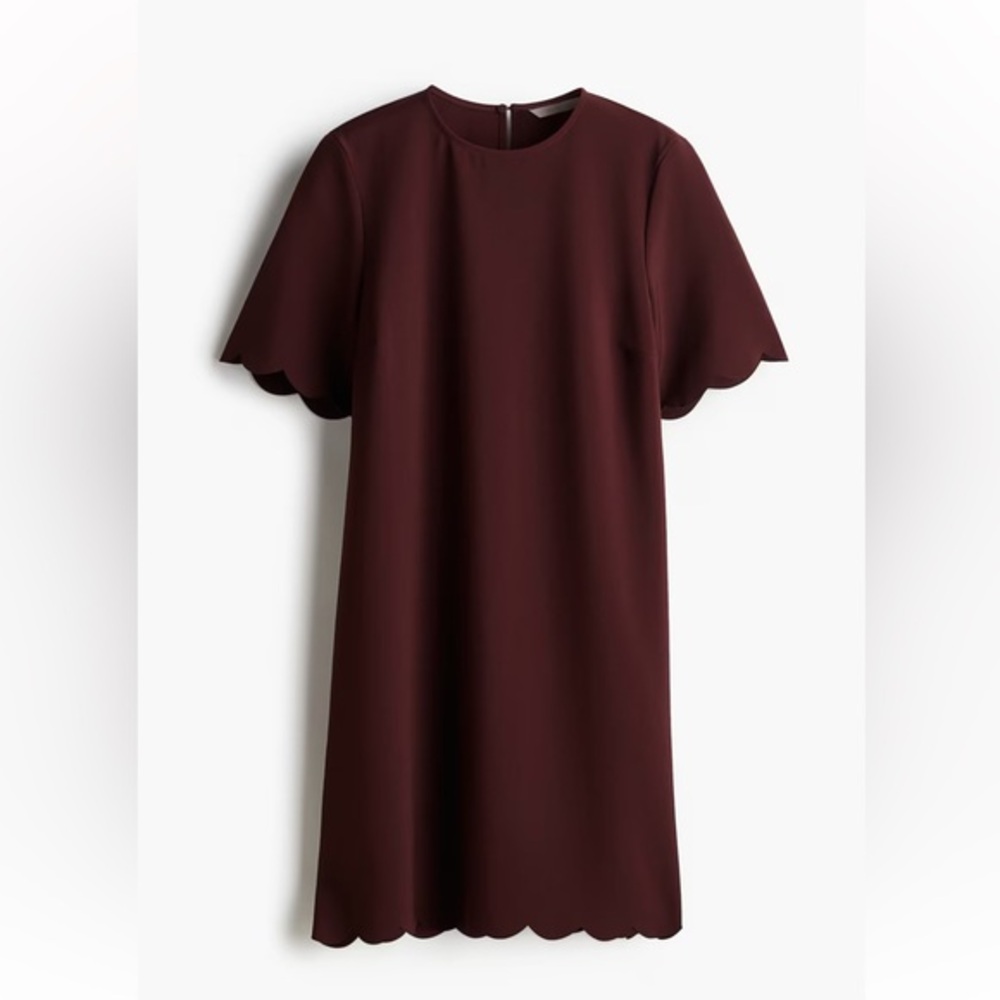 H&M Burgundy Scallop Sleeve Mini Dress